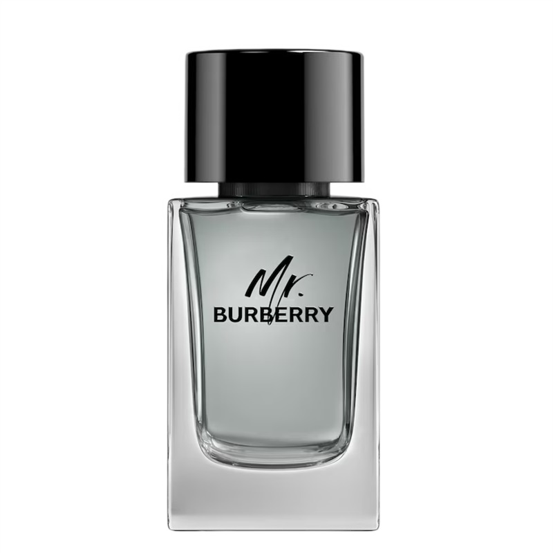 Burberry Mr. Burberry for Men Eau de toilette Toaletní voda