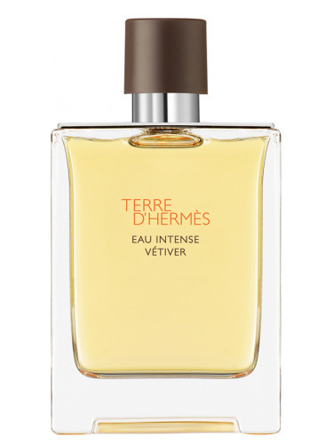 Hermes Terre D'Hermes Eau Intense Vetiver Parfemovaná voda